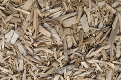 biomass boilers Diglis